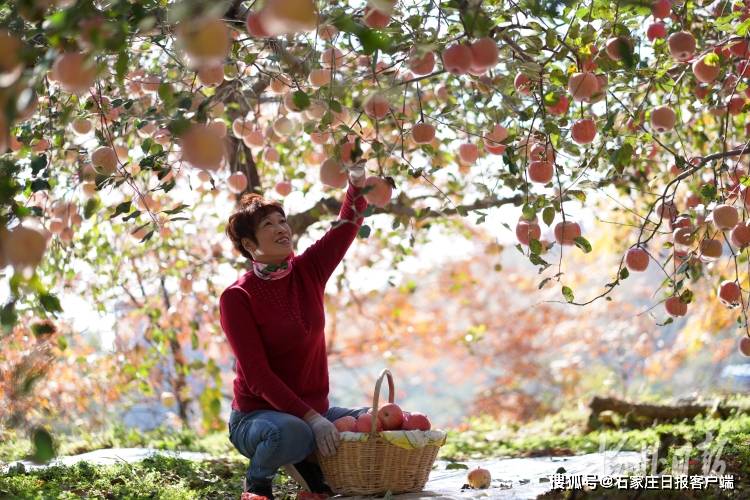 内丘县经济总量_内丘县地图