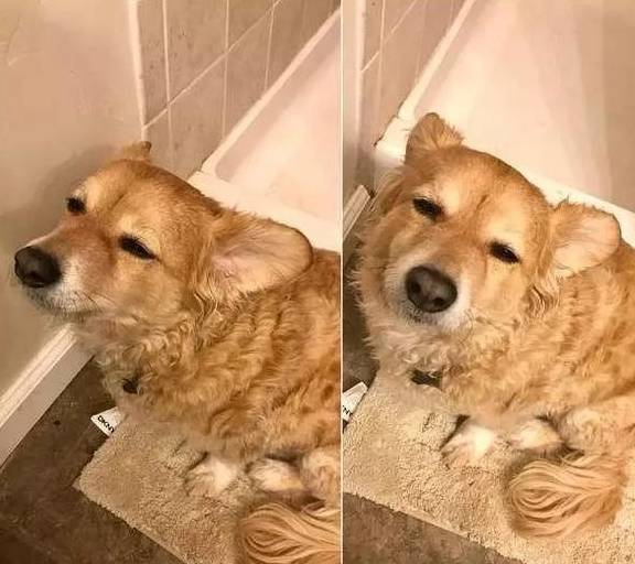 01e0794f1e0646a9b39fcb84a6e26ac8.jpeg