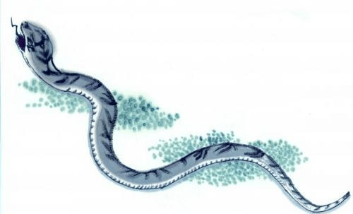 18566c0f0da141c299902196f0b12ddc.png
