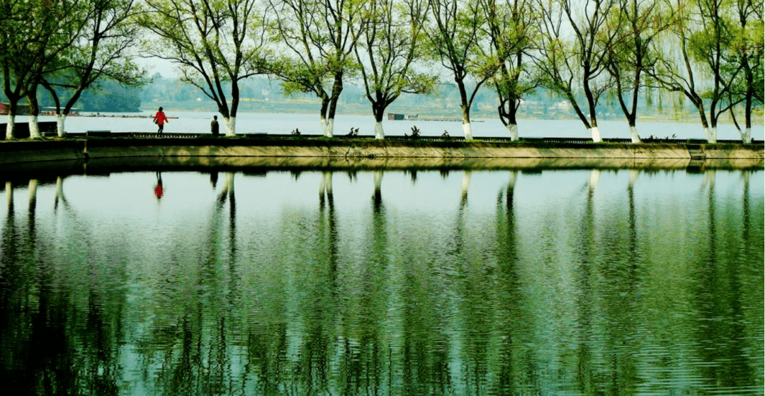 诗词鉴赏惊蛰至仲春始十首仲春的诗词邂逅春天之美