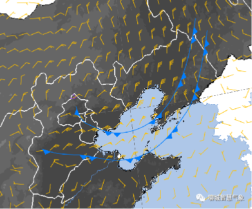 临清人口_临清宛园(2)