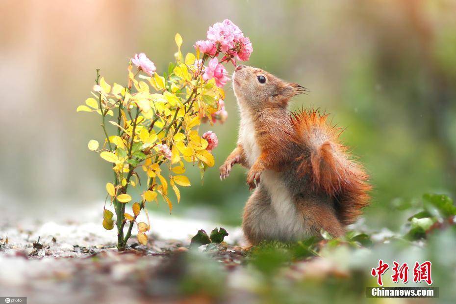 惊蛰 春日精灵 搜狐大视野 搜狐新闻