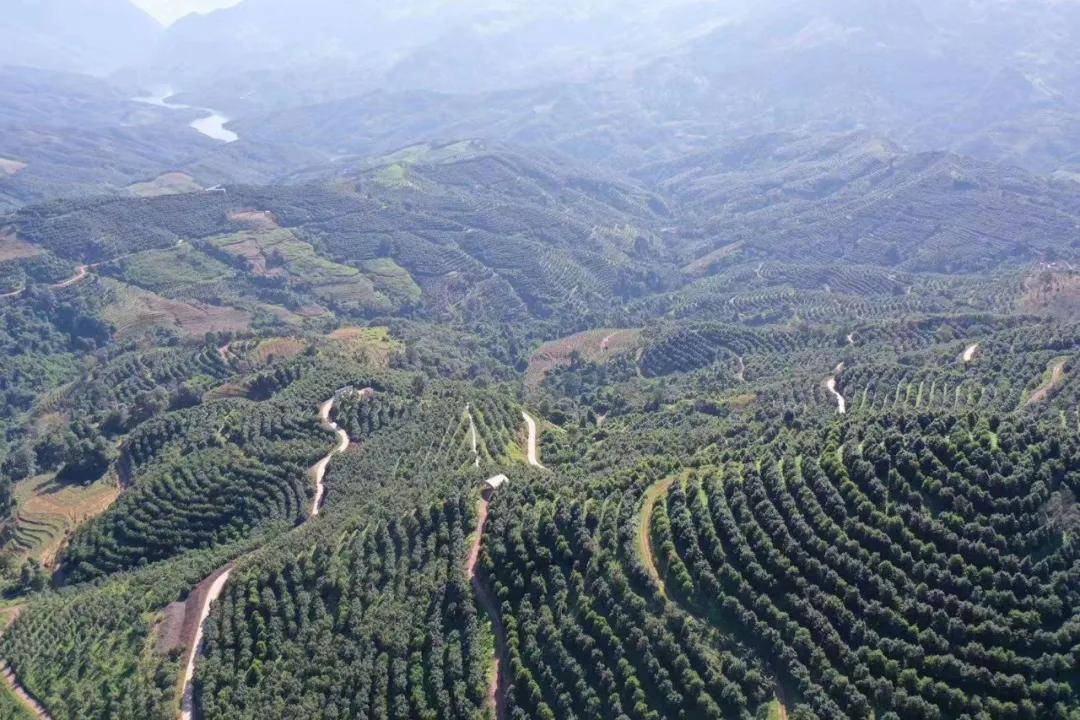 美麗雲南(第二季)| 鎮守邊關,幸福安康 ——美名:臨滄·鎮康縣_阿數瑟