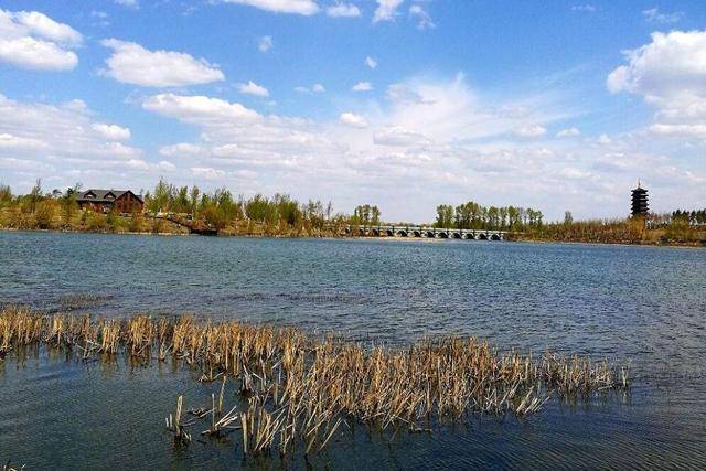 吉林有一湿地公园，占地超1197平方公里，耗资30亿打造，门票免费