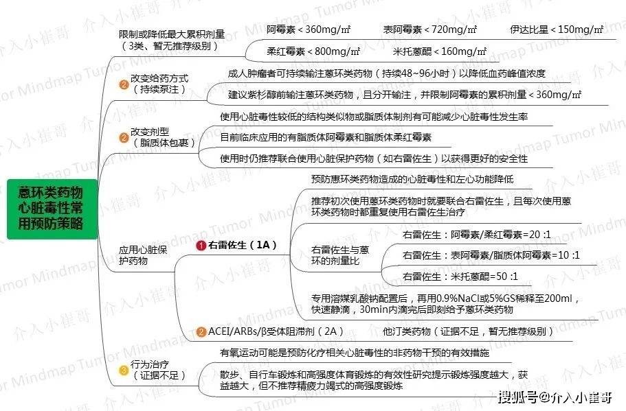 普萘洛尔思维导图图片