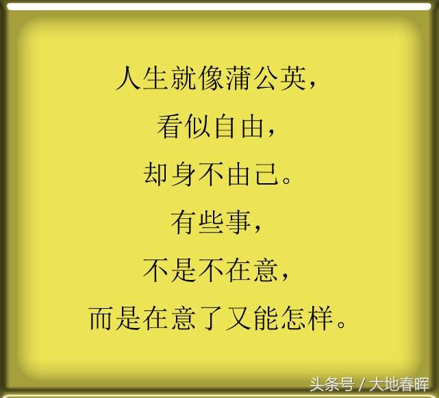 人生就像蒲公英,看似自由,却身不由己.