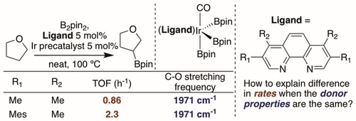 【大家】John F. Hartwig——有机金属领域大牛_催化