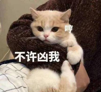 怎么样才能让女朋友不喜欢你 7697f971c07a4c908d97a059454c035e.jpeg