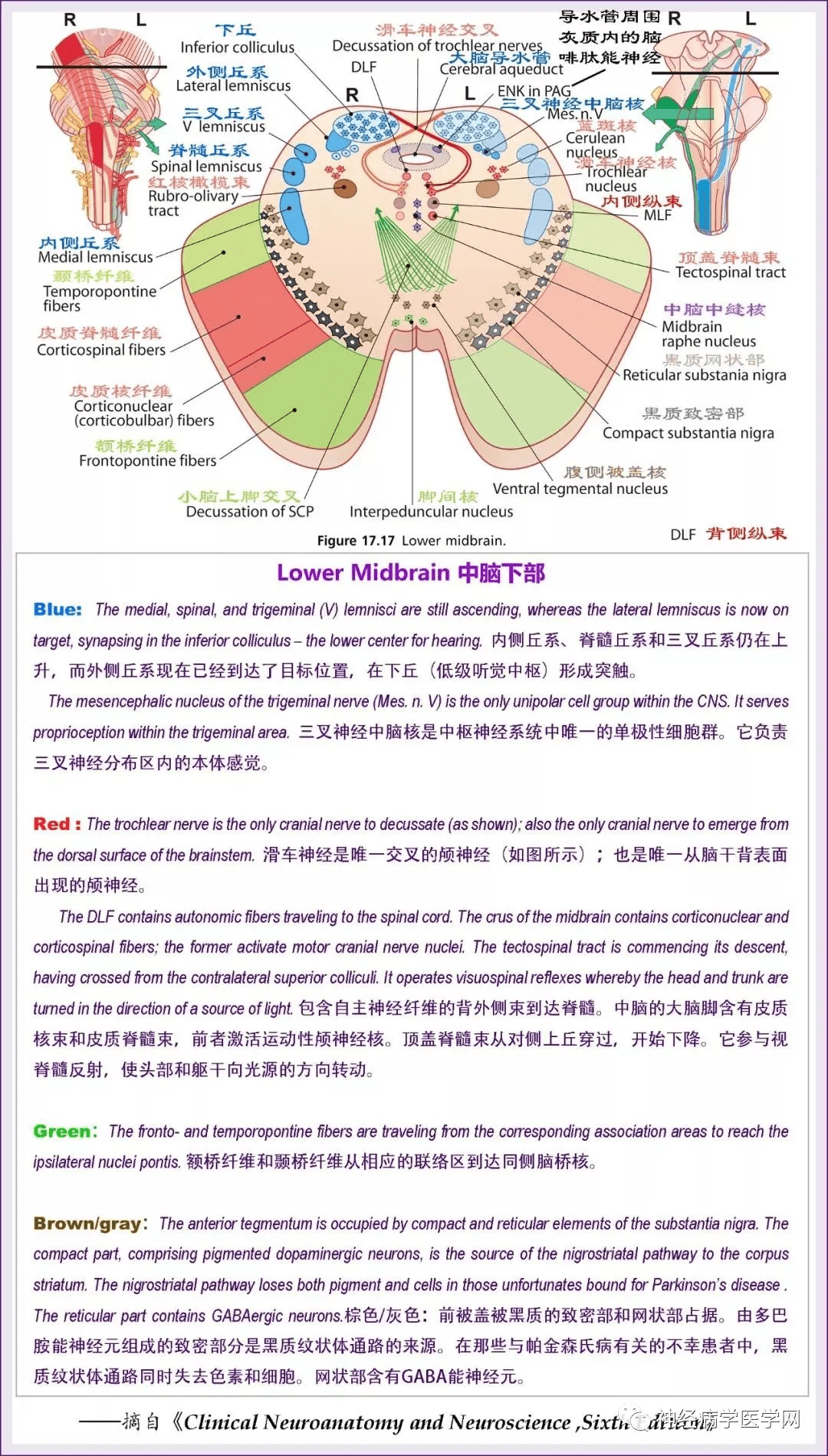9ebfb92f09ee40cab37d795fda41e8bd.png