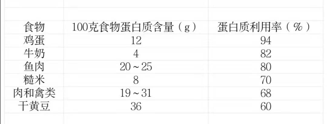 常見食物的蛋白質利用率