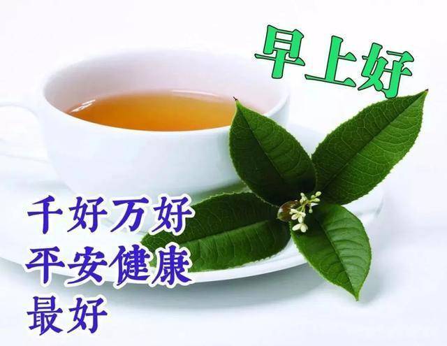 早上茶图片大全图片