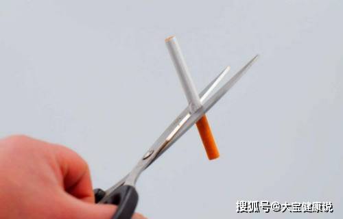 什么是人体的电话线 6bc9133a99cd44088bff6244d4d09078.jpeg