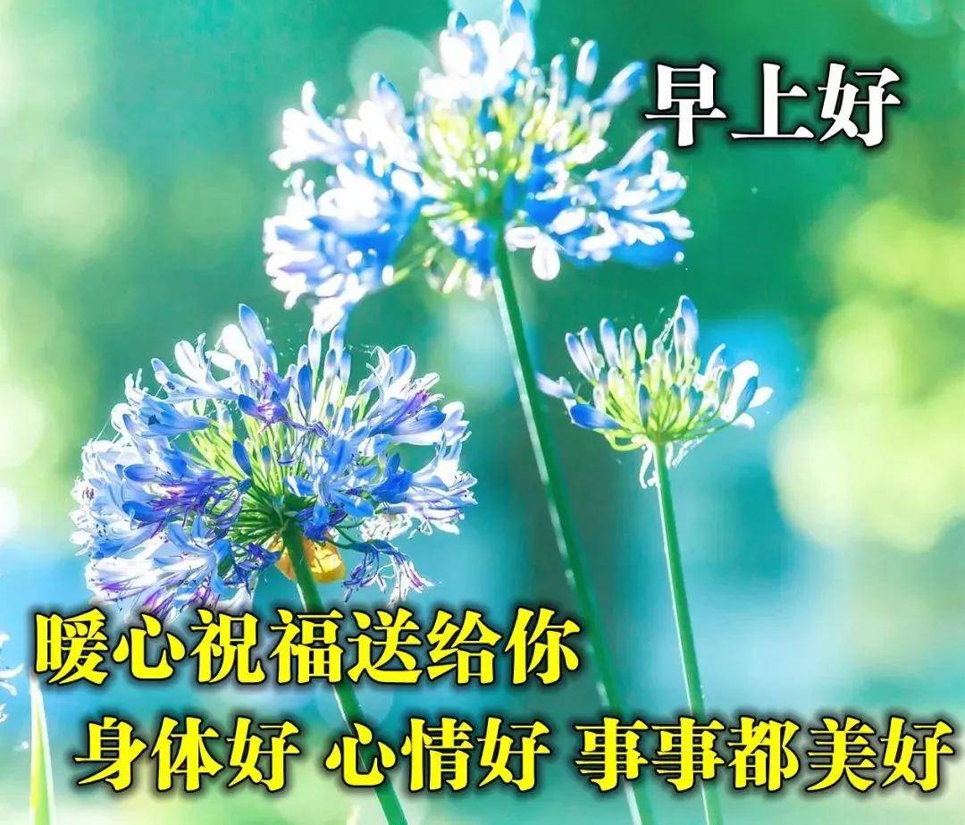 早上好問候語圖片早安祝福語圖片表情大全唯美