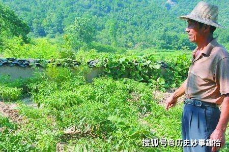 楊鎖他是天下懶人之最在家裡挖坑上廁所23歲活活餓死