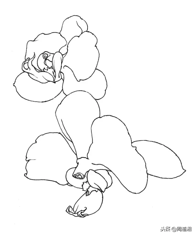 91a5ed623e034f38ab55c9b72dd72ec2.png