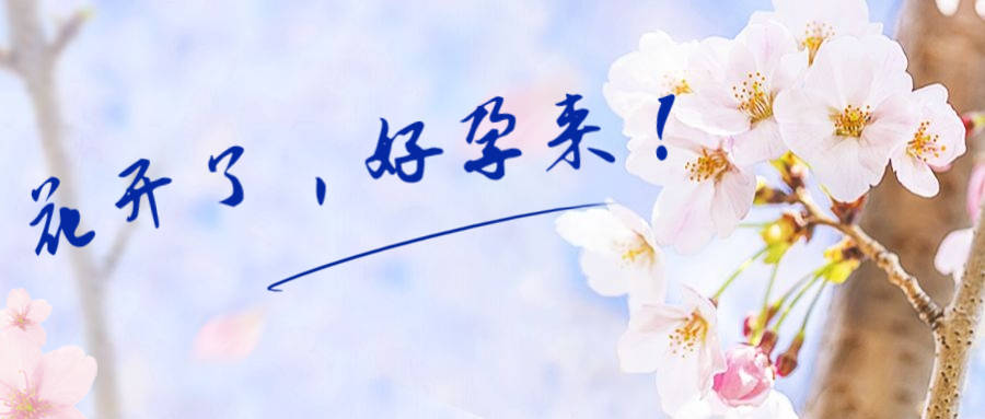 国外试管婴儿去选坤和助孕的简单介绍-第2张图片-鲸幼网