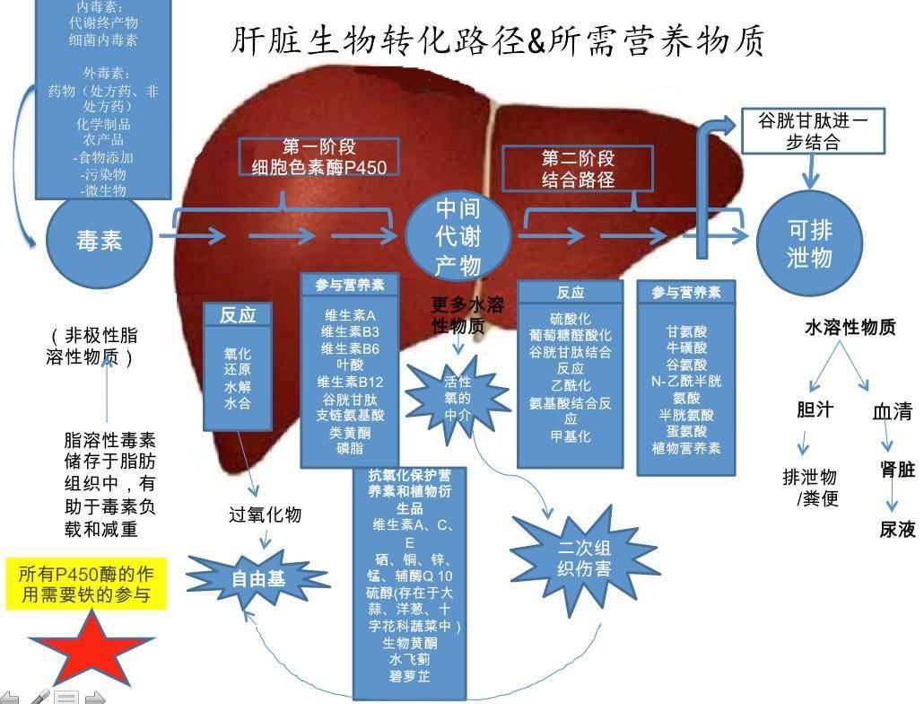 正常值胆红素参考范围_胆红素正常值_正常值胆红素值是多少