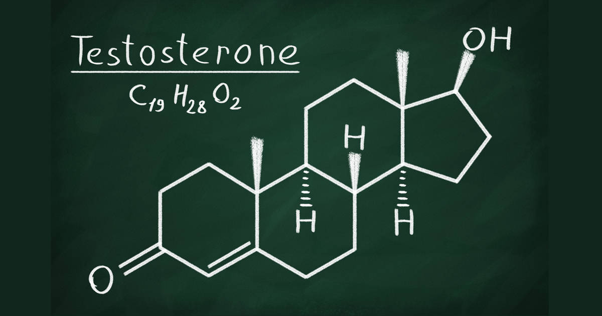 4个提高睾酮素分泌的方法让增肌和减脂效率更高