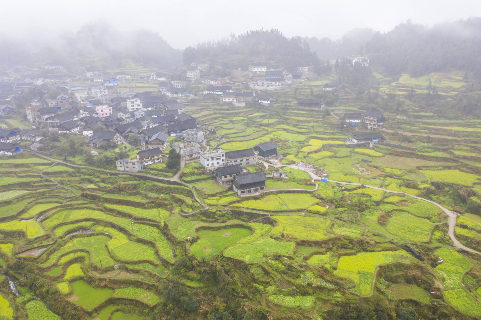 黔东南最适合养老的县，小村庄建在花海梯田里，简直就是人间仙境