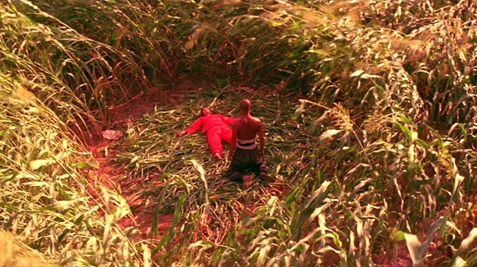 阴差阳错,史可错过红高粱女主,巩俐中选,事业巅峰但感情失落