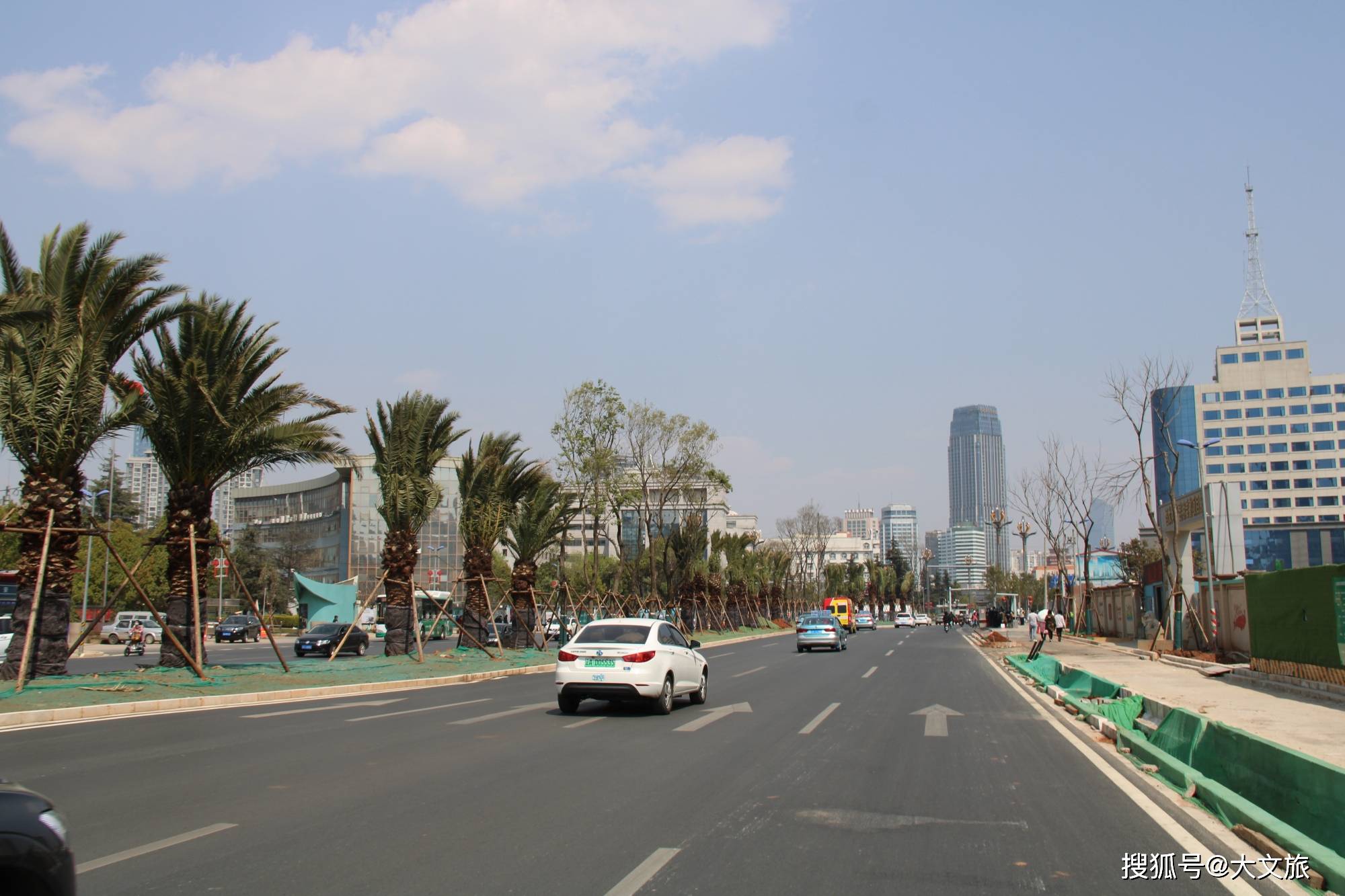 组图！昆明竟然有一条开满这种花的路