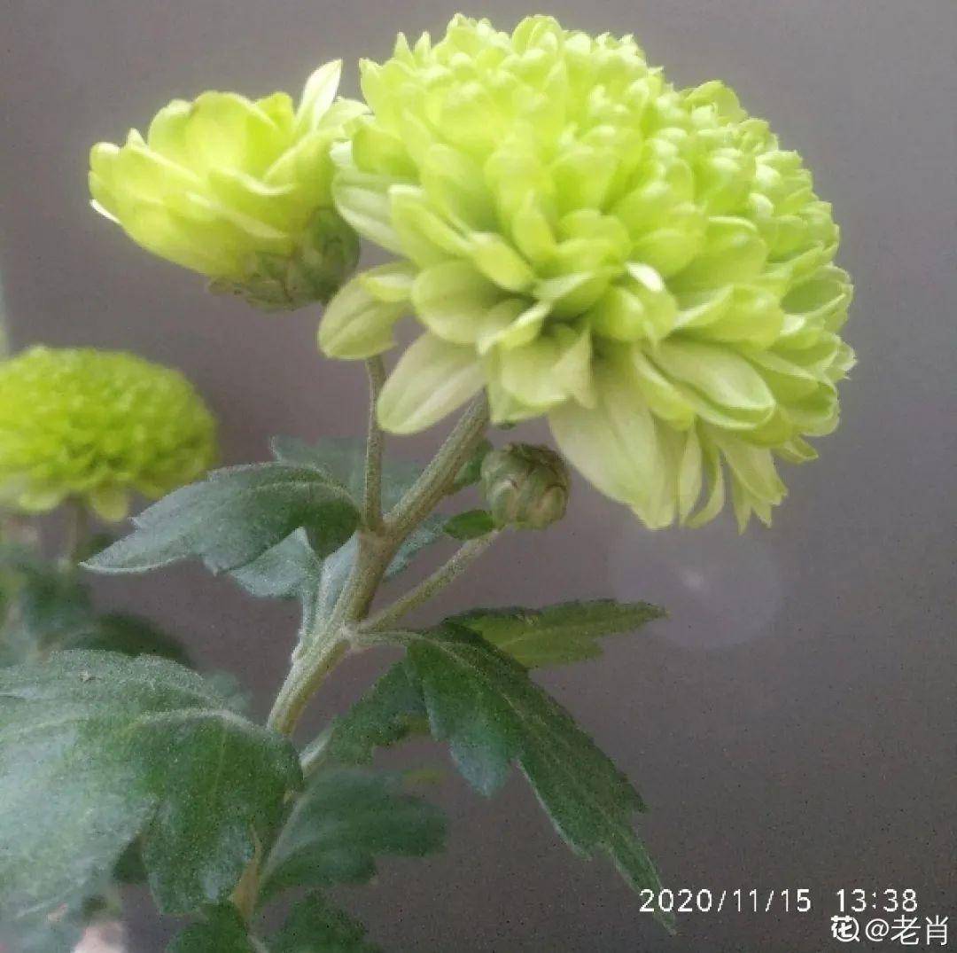 e4c54b4bc30a4d5d950b958c081a7459.jpeg