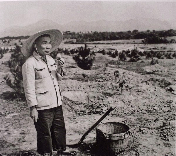 50年后中国有多少人口_2018年,中国人口出生率建国以来最低 1000人中只有1.6人想(2)