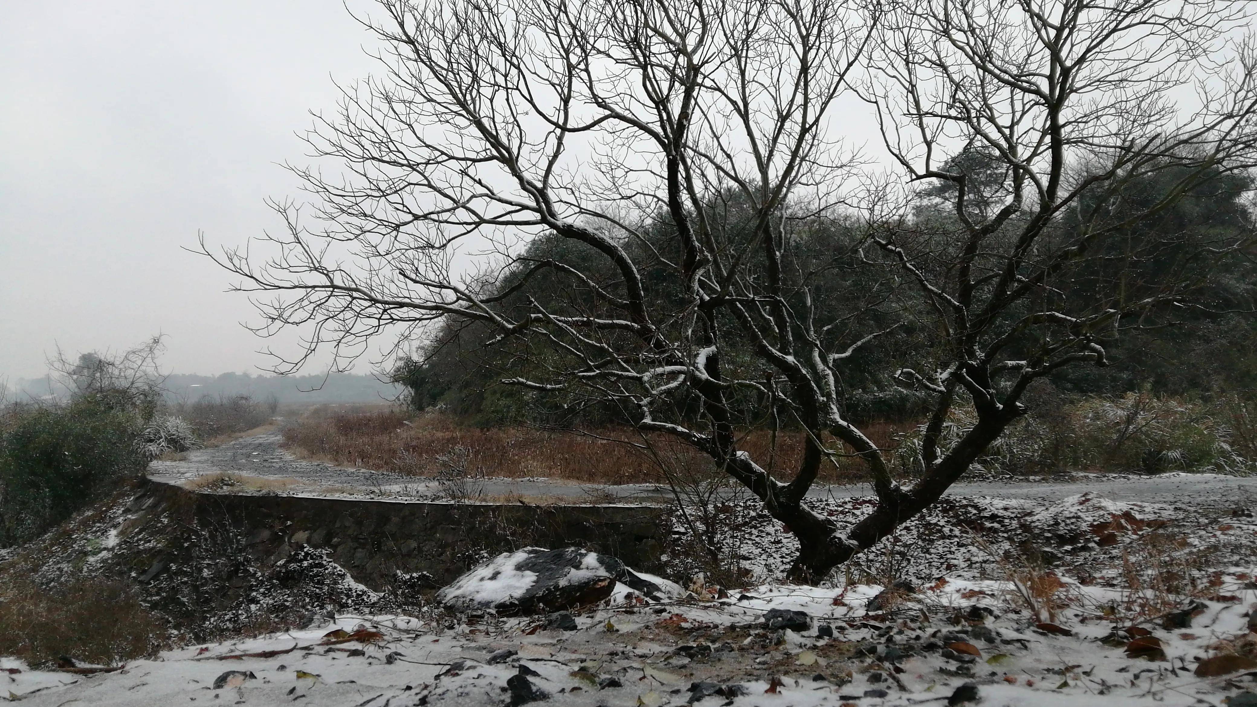 湖南省郴州市资兴市,寒冬腊月去三都镇的野外漫步,赏雪色小景