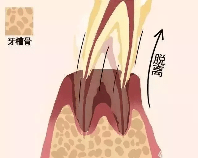 276458500a784bc98f893e7a48c67aa5.png
