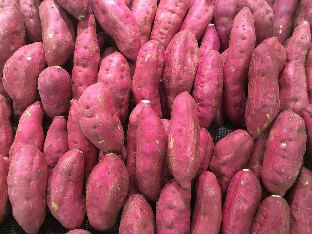 玉米红薯是碳水还是膳食纤维 644411ec4ef0424daae82f697cc09910.jpeg