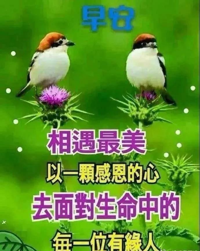 祝福语句句暖心『祝福语句句暖心简短4个字』