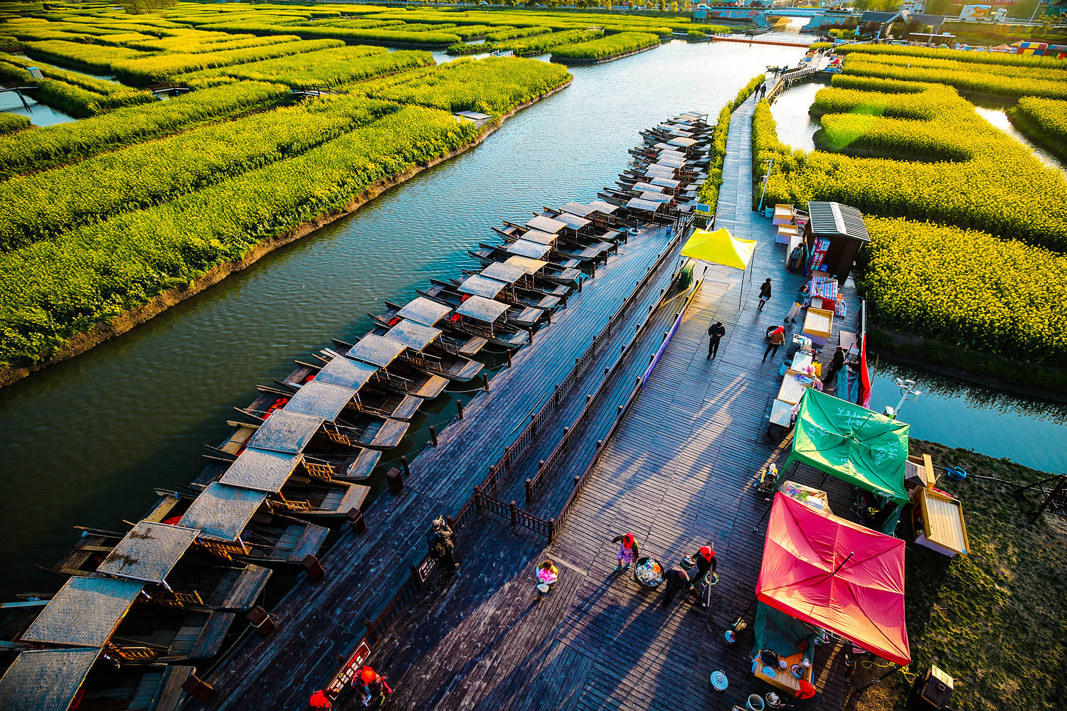 当旅游成为了农民的支柱产业,兴化垛田开启了新时代的新农村