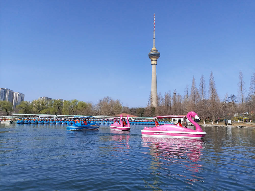 本周起，北京市属5家公园将陆续开放游船码头