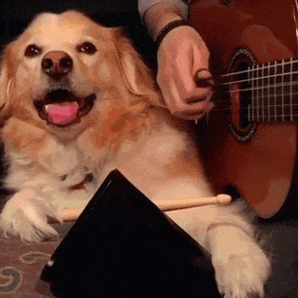 c1e9cd2188624712b0425da71fb1580b.gif