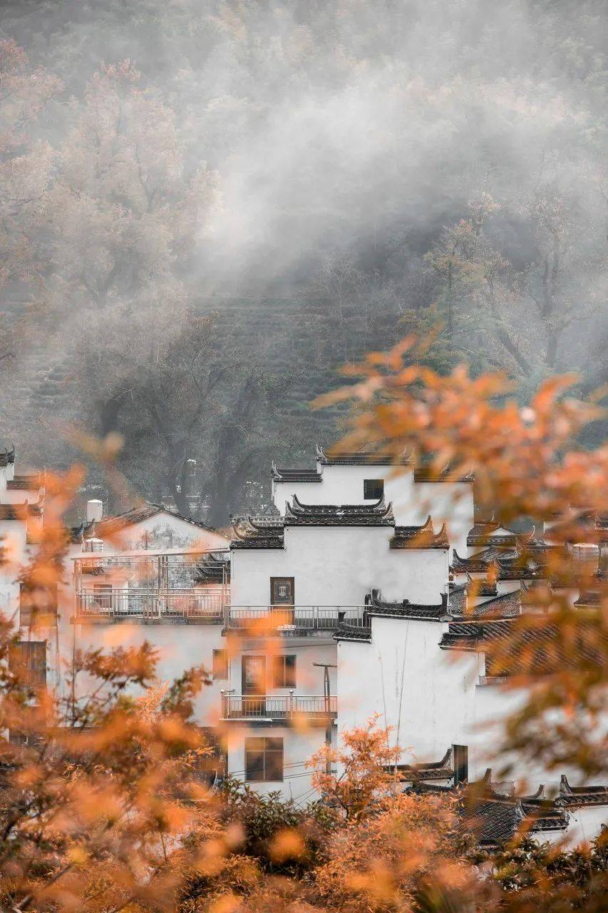 江南的春天，藏在徽州的老街、被晨雾围绕的古村落