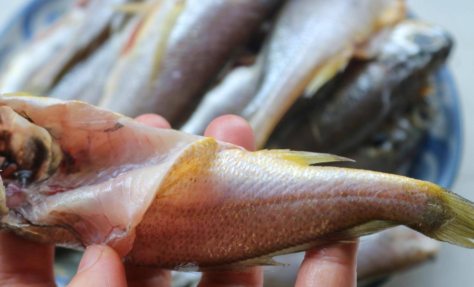 梦境解析，梦见切偷鱼鱼没见到变成鸡蛋有生的有熟的