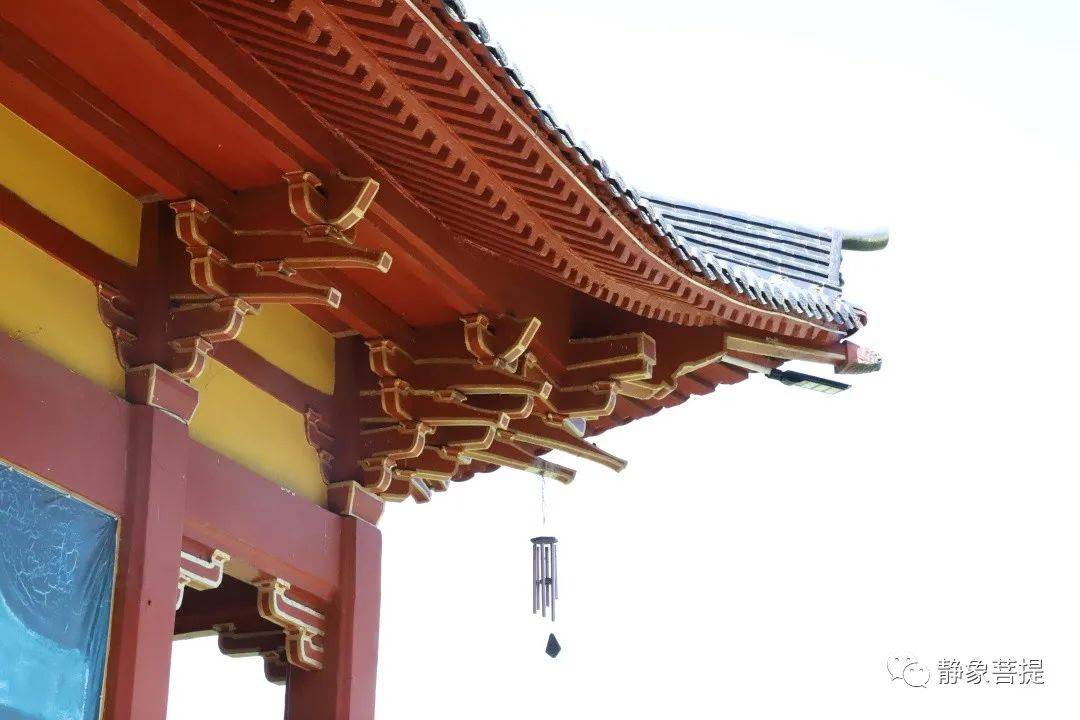 静象·福鼎溪南古寺 | 茶山掩映中的生机与美