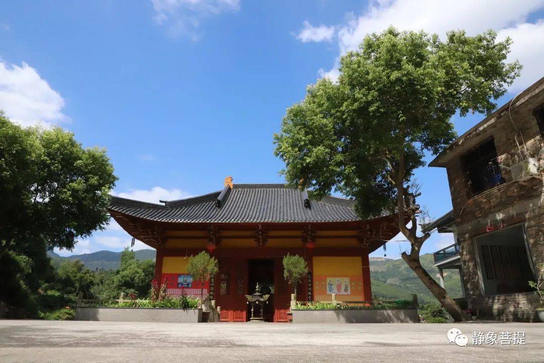 福鼎象山寺图片