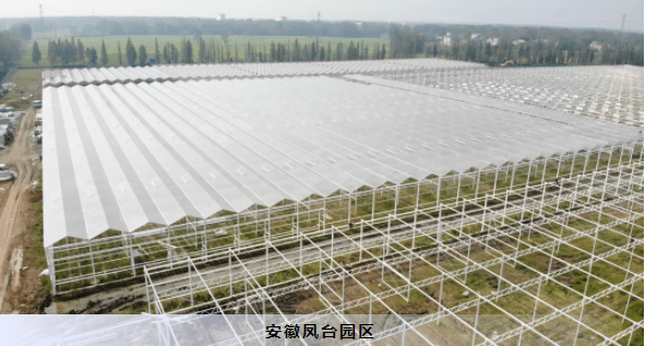 建设|【江苏绿港】智能玻璃温室打造现代农业典范！