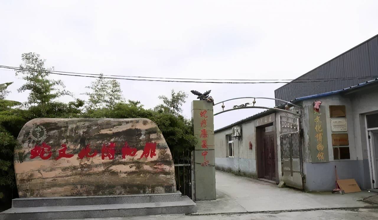 火爆国外漂亮姑娘抢着嫁痴迷盘蛇40年的中国第一蛇村已成往事