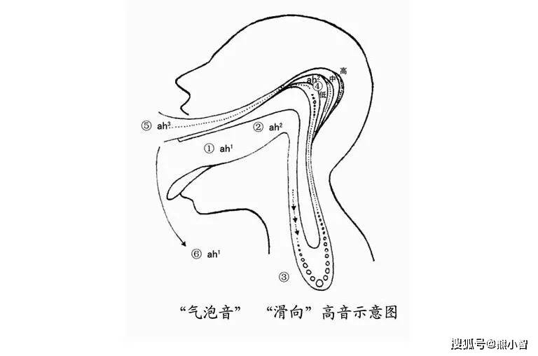 的是,这时"气泡音"共鸣的位置是贴着后咽壁逐渐上升至鼻咽腔和头腔