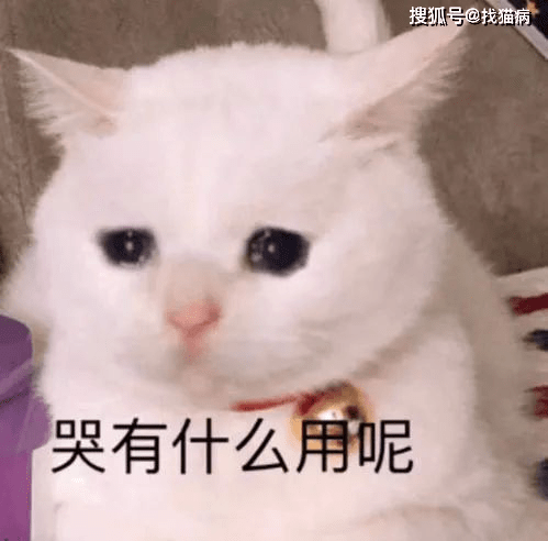 84b2507686854fc9a0e42f6af45e680a.png