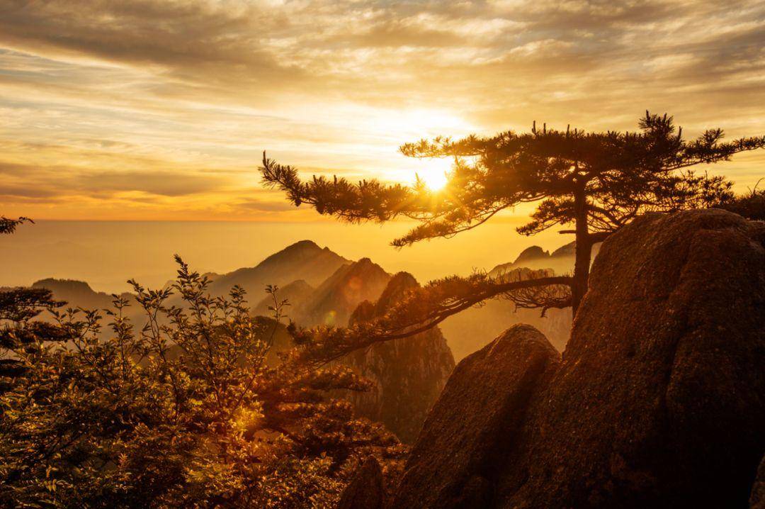 其实黄山除了这四大奇观之外，还有日出、日落、雾凇等景观也很美丽，这