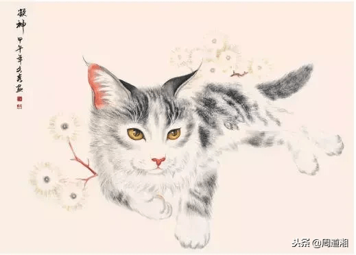 中国画中工笔猫技法：凝神的猫如何画才能活灵活现？_手机搜狐网