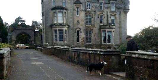 英国最神秘的“鬼桥”，600多只狗在此自杀，至今还是个未解之谜
