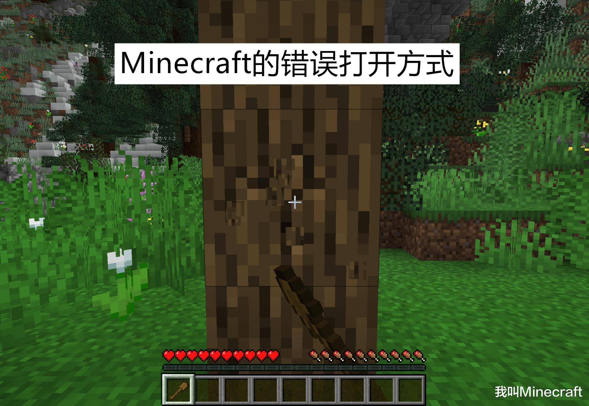 Minecraft的错误打开方式 如果有一天 你穿越到了mc 世界