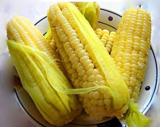 a566d72bd6e14bbf80b89ccffddce77c.jpeg