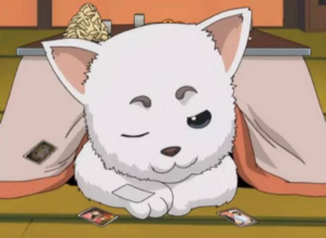 一入银魂深似海从此节操是路人b站上线银魂好孩子必看