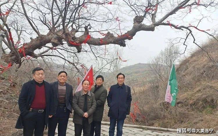 洛宁程志民——桃缘上观(图5)