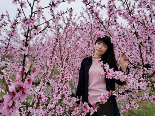 赵玲萍诗集《素月》出版发行